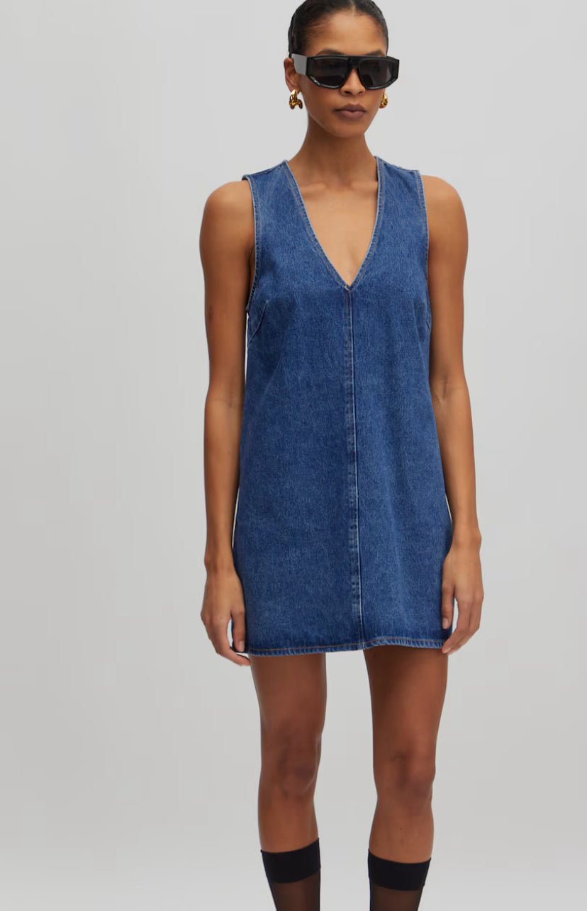 Xristina denim dress